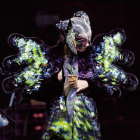 Björk - Vulnicura Live (Explicit)