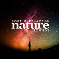 Pure Relaxation - Soft & Relaxing Nature Sounds