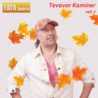 Tata Simonyan - Tevavor Kaminer, Vol. 7
