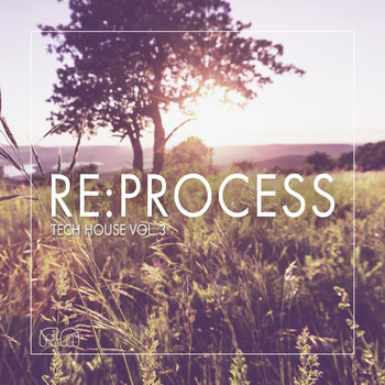 Various Artists - Re:Process - Tech House Vol. 3