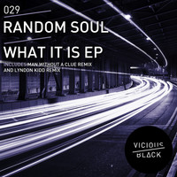 Random Soul - What It Is EP