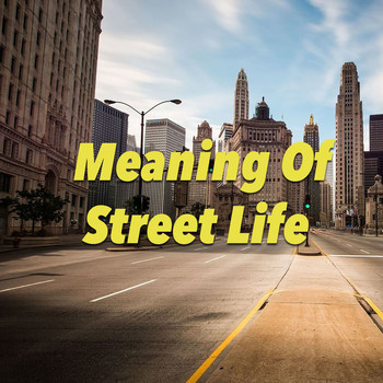 Various Artists - Meaning Of Street Life