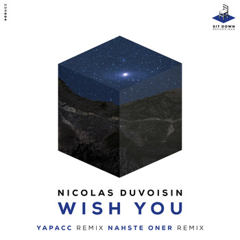 Nicolas Duvoisin - Wish You
