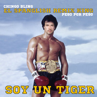 Chingo Bling - Soy un Tiger