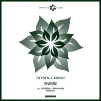 Stephen J. Kroos - Numb