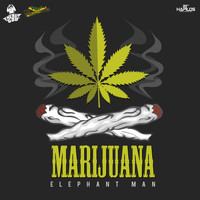 Elephant Man - Marijuana - Single