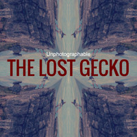 The Lost Gecko - Unphotographable - EP