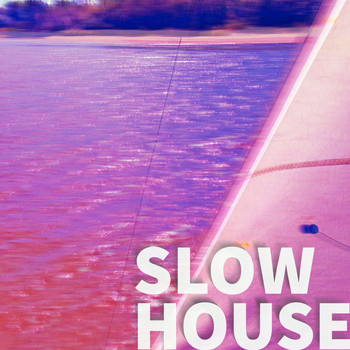 Various Artists - Slow House