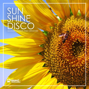Various Artists - Sunshine Disco (Summer Moods & Grooves)