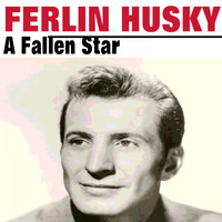 Ferlin Husky - A Fallen Star