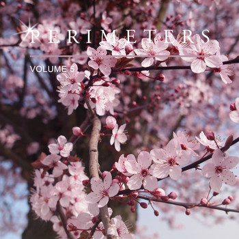 Various Artists - Perimeters, Vol. 5