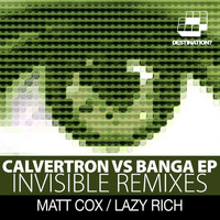 Calvertron vs Banga - Invisible Remixes