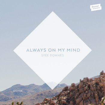Stee Downes - Always On My Mind (Remix)