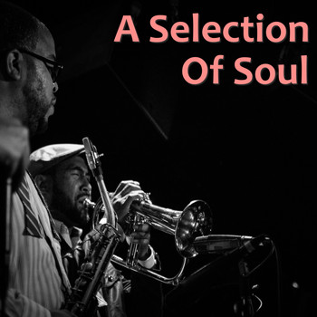 Various Artists - A Selection Of Soul