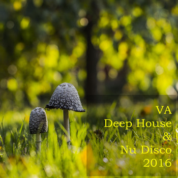 Various Artists - Deep House & Nu Disco 2016