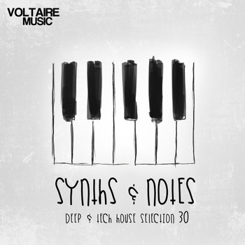 Various Artists - Synths and Notes 30