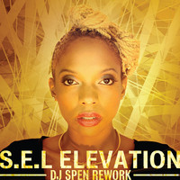 S.E.L - Elevation (DJ Spen Rework)