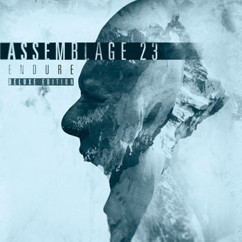 Assemblage 23 - Endure (Deluxe Edition)