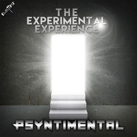 Psyntimental - The Experimental Experience