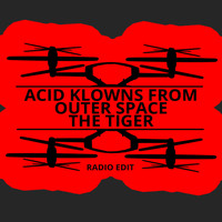 Acid Klowns From Outer Space - The Tiger (Radio Edit)