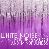 Nature White Noise for Relaxation and Meditation - White Noise for Relaxation and Mindfulness