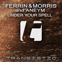 Ferrin & Morris & Aneym - Under Your Spell
