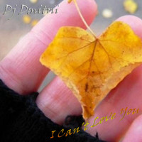 DJ Dmitrii - I Can't Love You