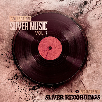 Various Artists - Sliver Music Collection, Vol.7