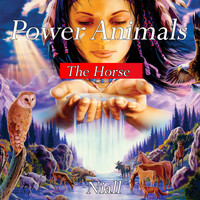 Niall - Power Animals - The Horse