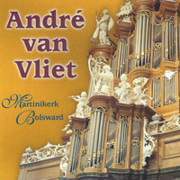 André van Vliet - Martinikerk, Bolswaard