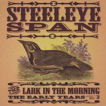 Steeleye Span - The Lark in Morning - The Early Years