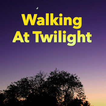 Various Artists - Walking At Twilight