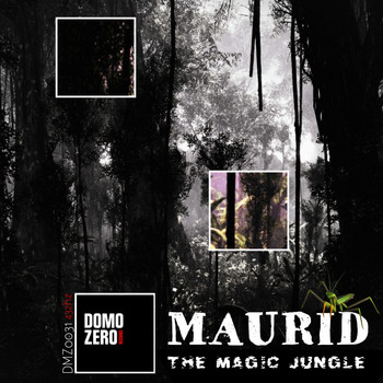 Maurid - The Magic Jungle 432Hz