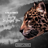 Ilya Garbuz - Trying To Forget You