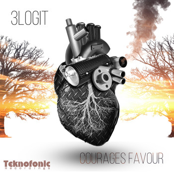 3logit - Courages Favour