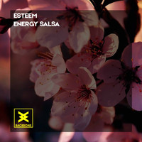 Esteem - Energy Salsa