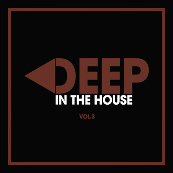 Various Artists - Deep in the House, Vol. 3
