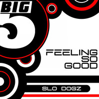 Slo Dogz - Feeling so Good