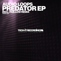 Audio Loops - Predator EP