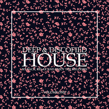 Various Artists - Deep & Discofied House, Vol. 1 (Sit Back, Relax and Enjoy the Melodies)