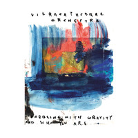 Vibracathedral Orchestra - Dabbling with Gravity and Who You Are