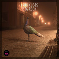 Mark Cubis - Big Room