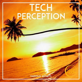 Various Artists - Tech Perception