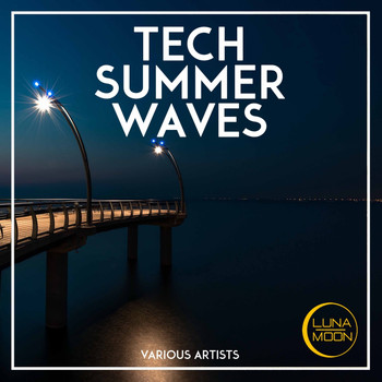Various Artists - Tech Summer Waves