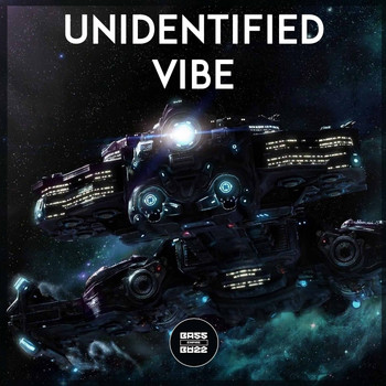 Various Artists - Unidentified Vibe