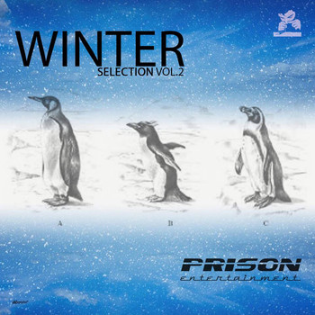 Various Artists - Winter Selection, Vol. 2