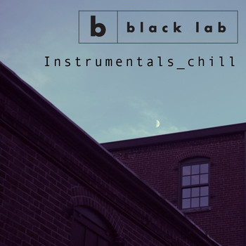 Black Lab - Instrumentals_chill