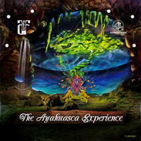ArtFix - The Ayahuasca Experience