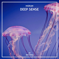 Mizkan - Deep Sense