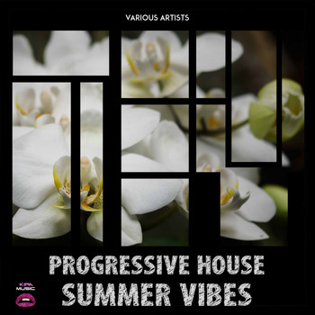 Various Artists - Progressive House Summer Vibes